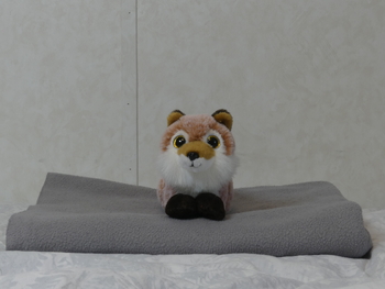 Unnamed 33 (Red Fox, TY)